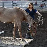 thumbnail for publication: Hoof Care for Florida Horses